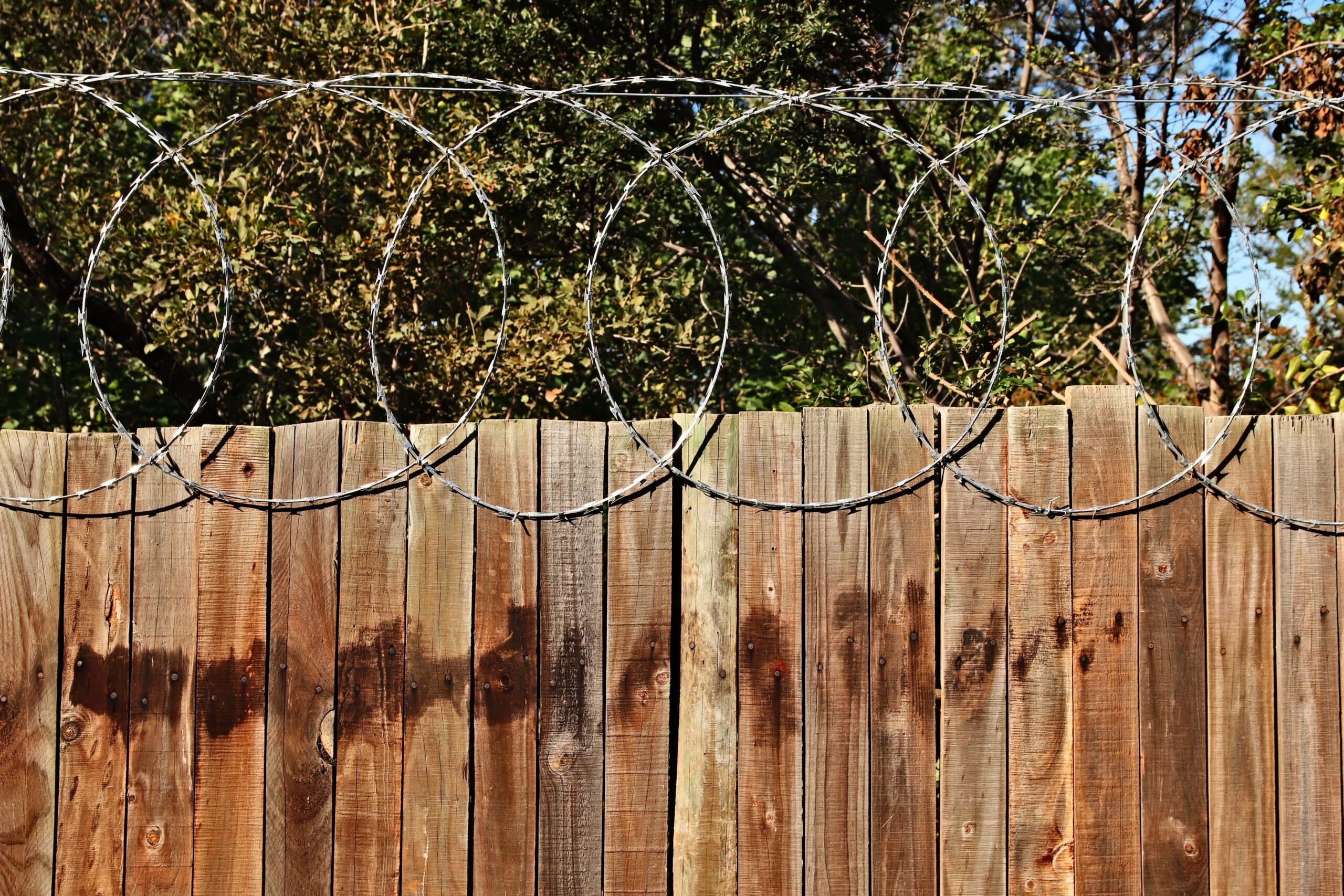 Luxury Outdoor Living A wooden fence topped with coiled barbed wire separates the yard, with trees and greenery in the background—adding privacy to your luxury outdoor living space. Toronto Contractors