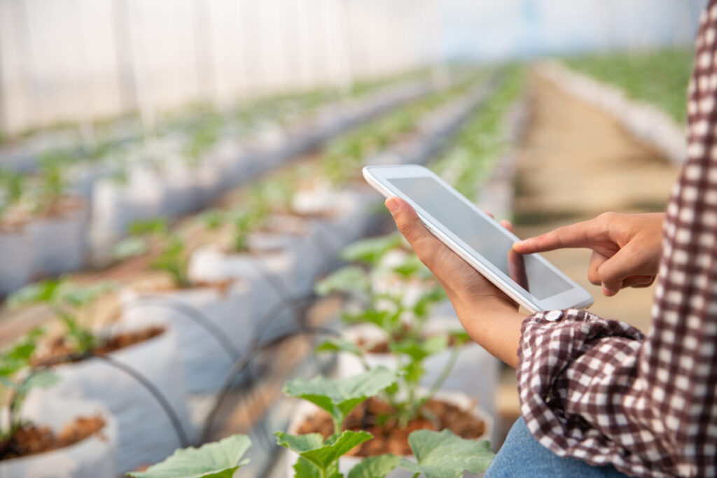 Luxury Outdoor Living A person uses a tablet in a greenhouse, surrounded by rows of young plants in soil bags—showcasing how technology enhances luxury outdoor living and modern gardening. Toronto Contractors
